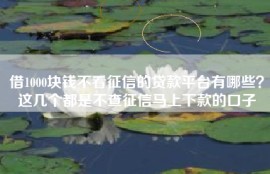 借1000块钱不看征信的贷款平台有哪些？这几个都是不查征信马上下款的口子