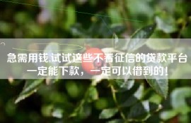急需用钱,试试这些不看征信的贷款平台一定能下款，一定可以借到的！
