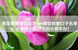 独家整理借钱应急3000微信转账口子名单，分享几个最好下的小贷平台！