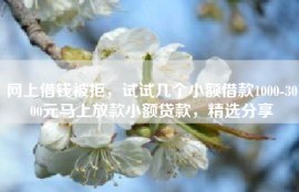 网上借钱被拒，试试几个小额借款1000-3000元马上放款小额贷款，精选分享