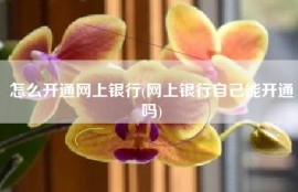 怎么开通网上银行(网上银行自己能开通吗)