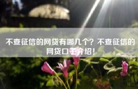 不查征信的网贷有哪几个？不查征信的网贷口子介绍！
