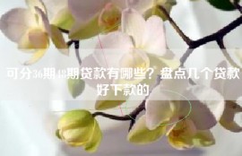 可分36期48期贷款有哪些？盘点几个贷款好下款的