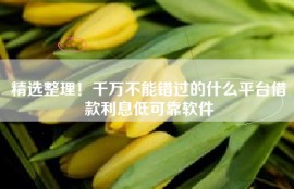 精选整理！千万不能错过的什么平台借款利息低可靠软件