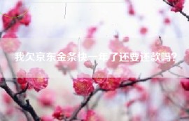 我欠京东金条快一年了还要还款吗？