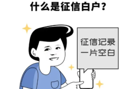征信白户怎样申请贷款？了解适合的贷款类型和选择靠谱平台！