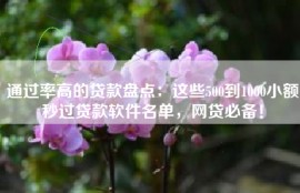 通过率高的贷款盘点：这些500到1000小额秒过贷款软件名单，网贷必备！