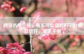 网贷名单一览，有车可以贷款的平台借款软件，拿走不谢
