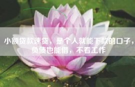 小额贷款速贷，是个人就能下款的口子，负债也能借，不看工作