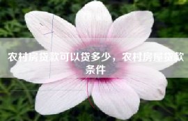 农村房贷款可以贷多少，农村房屋贷款条件