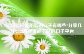 2022万年拒能下款的口子有哪些?分享几个2022万年拒能下款的口子平台