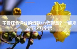 不看综合评分的借款APP有哪些？一起来看下这几个吧