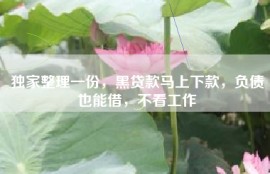 独家整理一份，黑贷款马上下款，负债也能借，不看工作