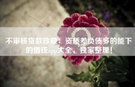 不审核贷款珍藏：资质差负债多的能下的借钱app大全，独家整理！