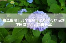 精选整理！几个黑户什么软件可以借到钱网贷平台，精选分享