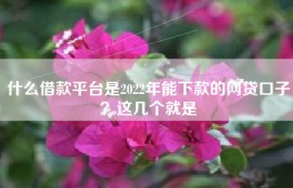 什么借款平台是2022年能下款的网贷口子？这几个就是