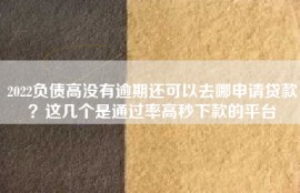 2022负债高没有逾期还可以去哪申请贷款？这几个是通过率高秒下款的平台