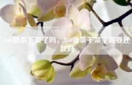360借条下架了吗，360借条下架了需要还款吗