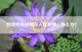 网贷平台逾期没人找我要，怎么办？