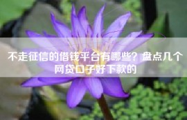 不走征信的借钱平台有哪些？盘点几个网贷口子好下款的