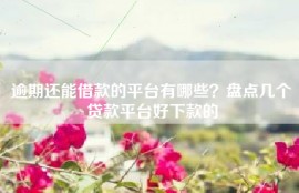 逾期还能借款的平台有哪些？盘点几个贷款平台好下款的
