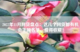 2022年11月网贷盘点：这几个网贷都有机会下款名单，值得收藏！