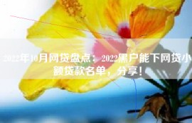 2022年10月网贷盘点：2022黑户能下网贷小额贷款名单，分享！