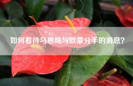 如何看待马思纯与欧豪分手的消息？