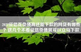 2022征信花负债高还能下款的网贷有哪些？这几个不看征信负债就可以立马下款