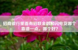 招商银行里面有招联金融和闪电贷哪个靠谱一点。哪个好？