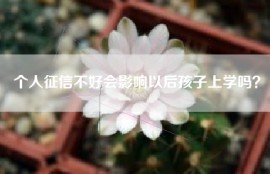 个人征信不好会影响以后孩子上学吗？