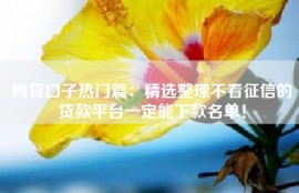 网贷口子热门篇：精选整理不看征信的贷款平台一定能下款名单！