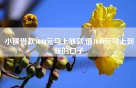 小额借款1000元马上放款,借1000元马上到账的口子