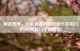 精选整理，分享最新的网黑能下款的口子2021网贷口子有哪些?