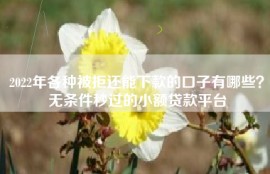 2022年各种被拒还能下款的口子有哪些？无条件秒过的小额贷款平台