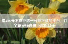 借3000元不查征信一分钟下款的平台，几个免审核直接下款的口子