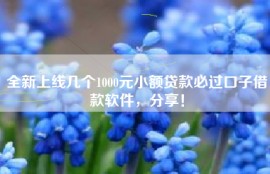 全新上线几个1000元小额贷款必过口子借款软件，分享！
