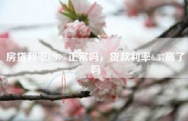 房贷利率6.37%正常吗，贷款利率6.37高了吗