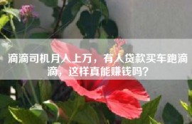 滴滴司机月入上万，有人贷款买车跑滴滴，这样真能赚钱吗？