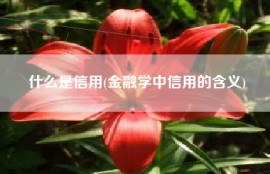 什么是信用(金融学中信用的含义)