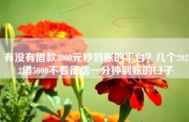 有没有借款3000元秒到账的平台？几个2022借5000不看征信一分钟到账的口子