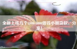 全新上线几个1000-5000借钱小额贷款，分享！