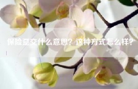 保险趸交什么意思？这种方式怎么样？