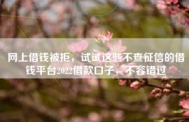 网上借钱被拒，试试这些不查征信的借钱平台2022借款口子，不容错过