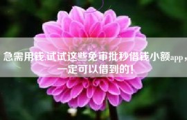 急需用钱,试试这些免审批秒借钱小额app，一定可以借到的！