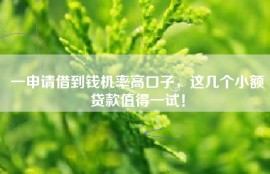 一申请借到钱机率高口子，这几个小额贷款值得一试！