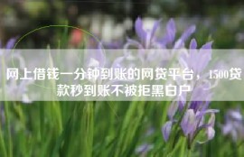 网上借钱一分钟到账的网贷平台，1500贷款秒到账不被拒黑白户
