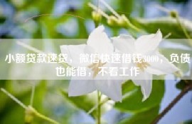 小额贷款速贷，微信快速借钱3000，负债也能借，不看工作