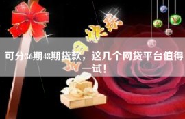 可分36期48期贷款，这几个网贷平台值得一试！