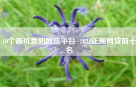 10个最可靠的网贷平台  2022正规网贷前十名